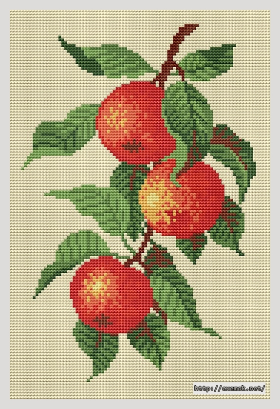 Download embroidery patterns by cross-stitch  - Apples