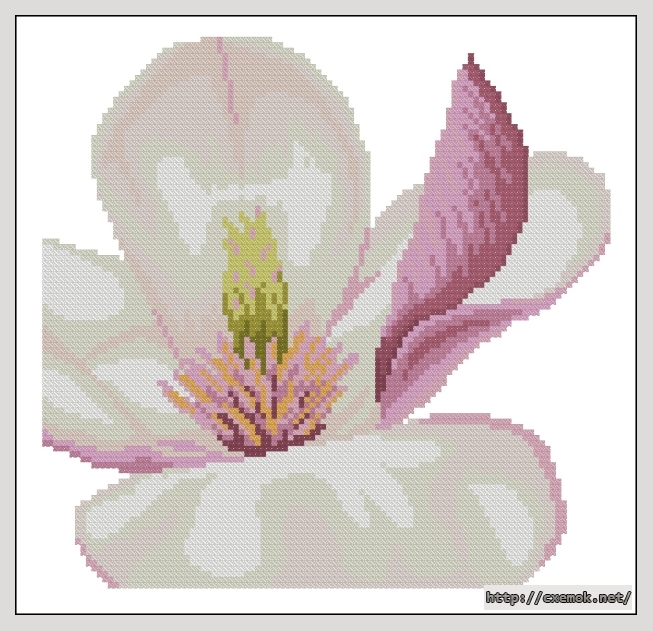 Download embroidery patterns by cross-stitch  - Magnolia flower, author 