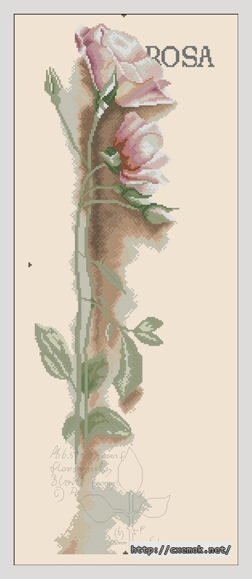 Скачать схему вышивки нитками Rosa botanical, автор 