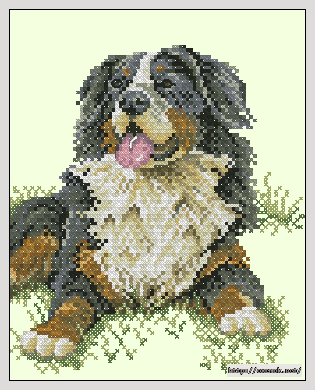 Download embroidery patterns by cross-stitch  - Border collie, author 