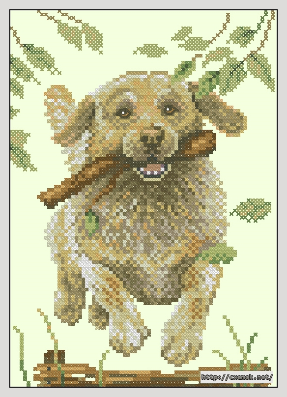 Download embroidery patterns by cross-stitch  - Labrador retriever, author 