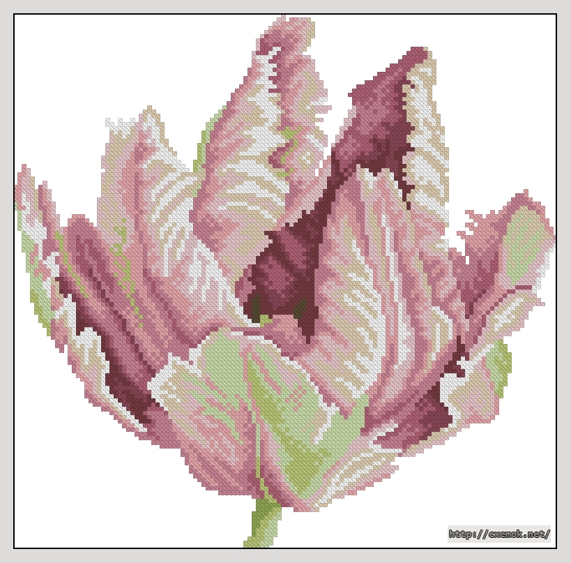 Скачать схему вышивки нитками Tulip in close-up, автор 