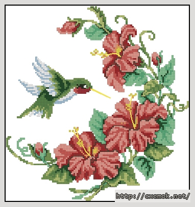 Завантажити схеми вишивки нитками / хрестом  - Hummingbird and hibiscus, автор 
