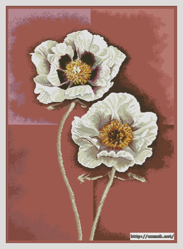 Скачать схему вышивки нитками White flowers in contrast with red, автор 