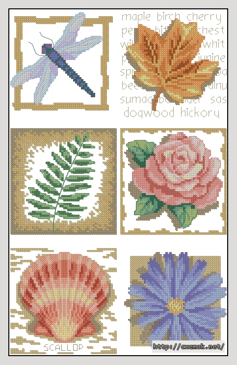 Download embroidery patterns by cross-stitch  - Natural beauty, author 