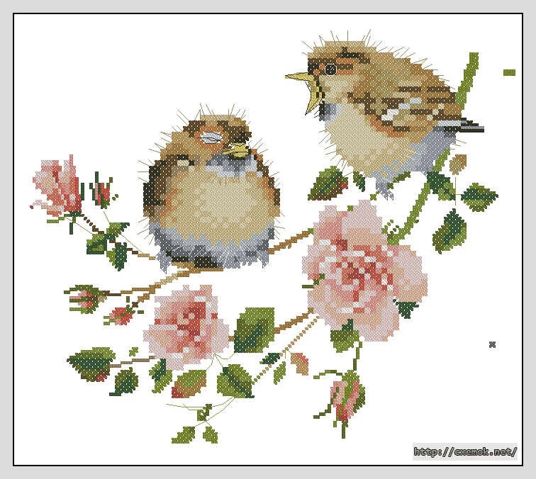 Download embroidery patterns by cross-stitch  - Rose chick-chat, author 