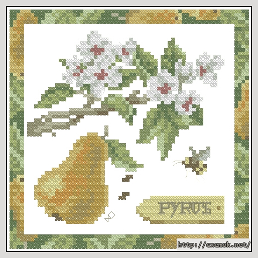 Download embroidery patterns by cross-stitch  - Pirus, author 