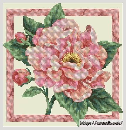 Download embroidery patterns by cross-stitch  - Peony blossom, author 