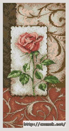 Download embroidery patterns by cross-stitch  - Single rose, author 