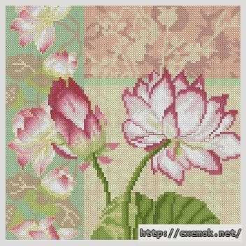 Download embroidery patterns by cross-stitch  - Composition of lotus flowers, author 