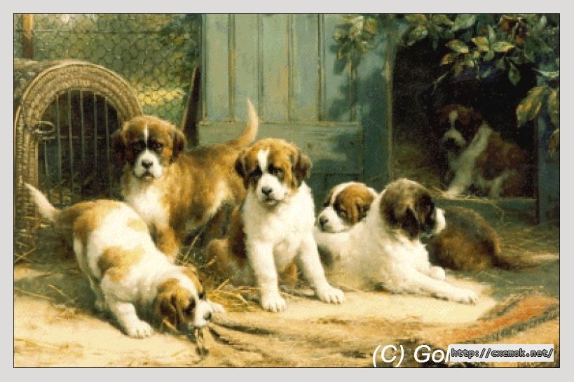 Скачать схемы вышивки нитками / крестом  - St. bernard puppies - solid colors, автор 
