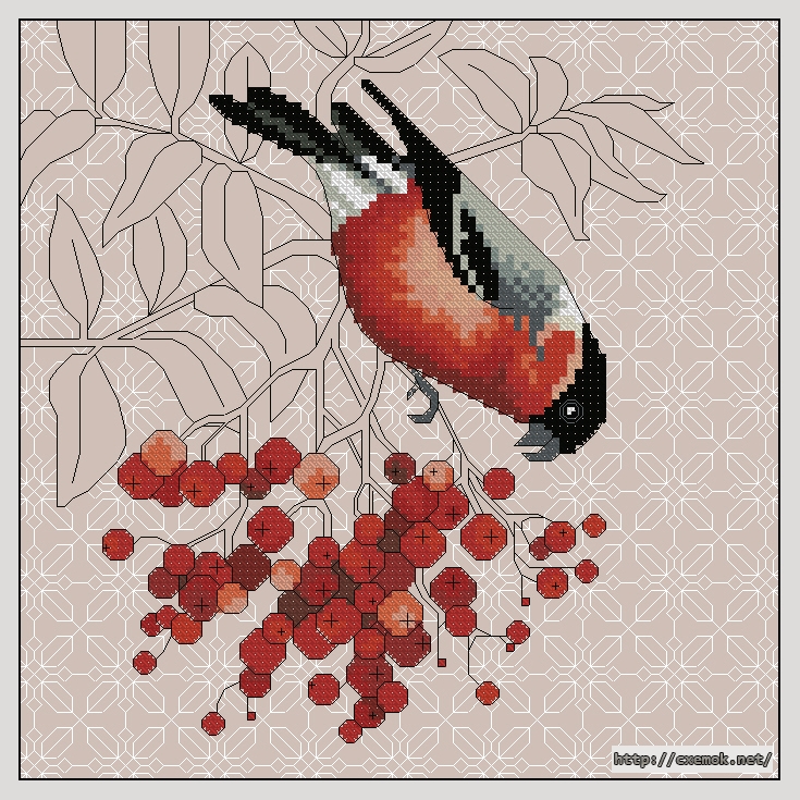 Download embroidery patterns by cross-stitch  - Rose-breasted grosbeak and elderberry