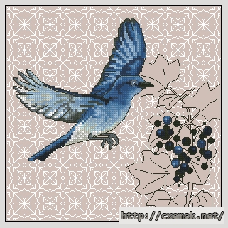 Завантажити схеми вишивки нитками / хрестом  - Mountain bluebird