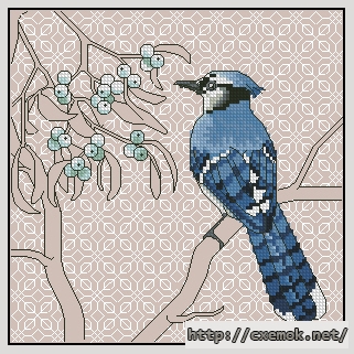 Download embroidery patterns by cross-stitch  - Blue jay and mistletoe