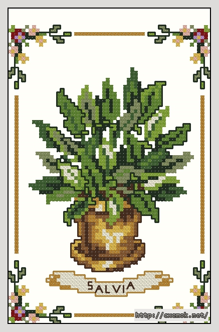 Download embroidery patterns by cross-stitch  - Salvia, author 