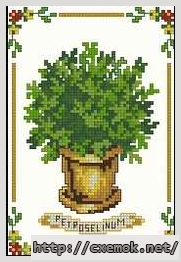 Download embroidery patterns by cross-stitch  - Petroselinum, author 
