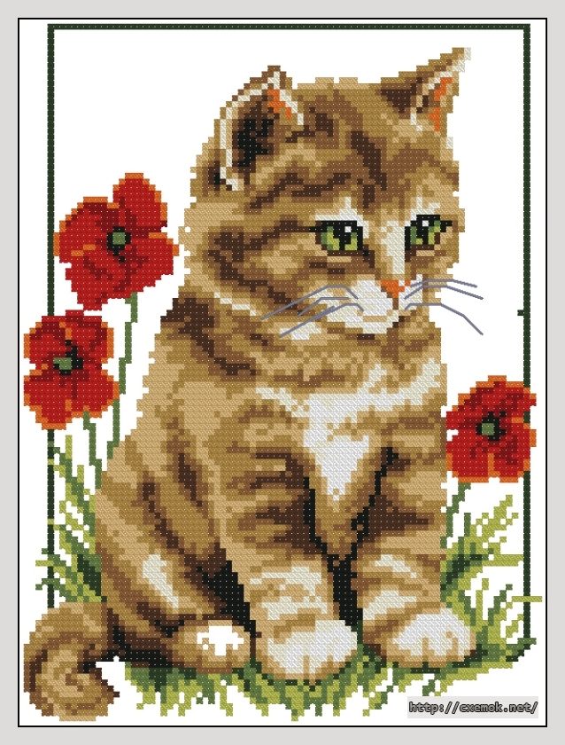 Download embroidery patterns by cross-stitch  - Котенок с маками, author 