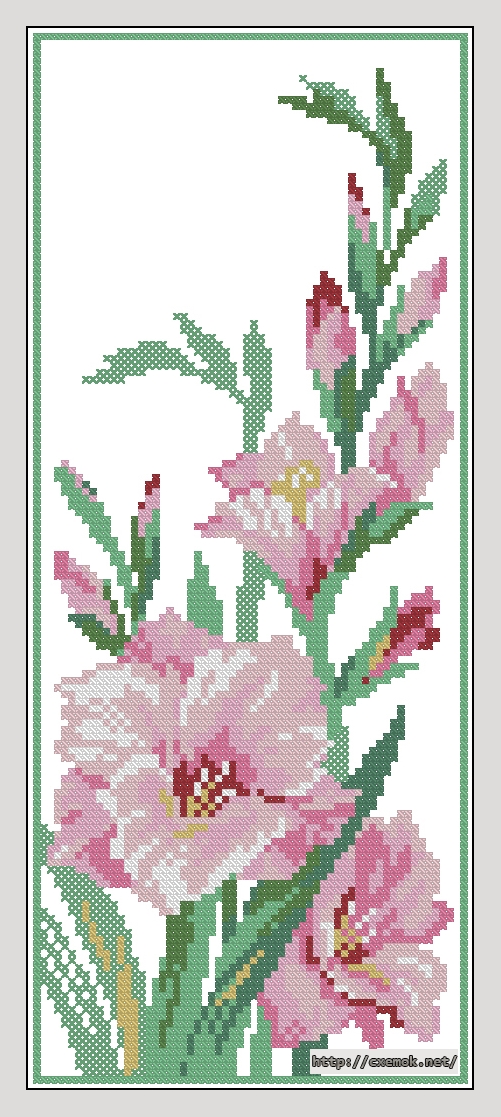 Download embroidery patterns by cross-stitch  - Гладиолус, author 