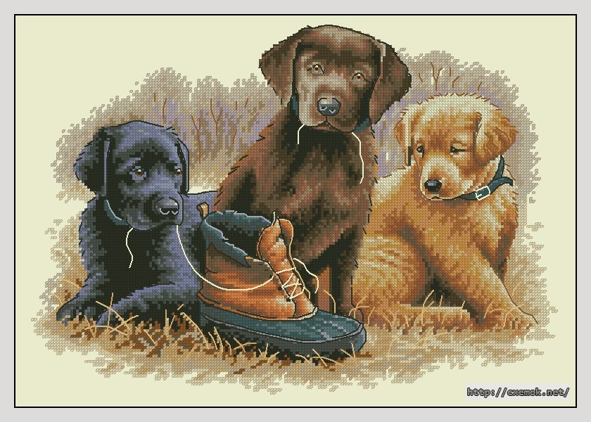 Download embroidery patterns by cross-stitch  - Chew toy, author 