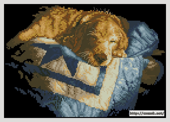 Download embroidery patterns by cross-stitch  - Golden retriver, author 
