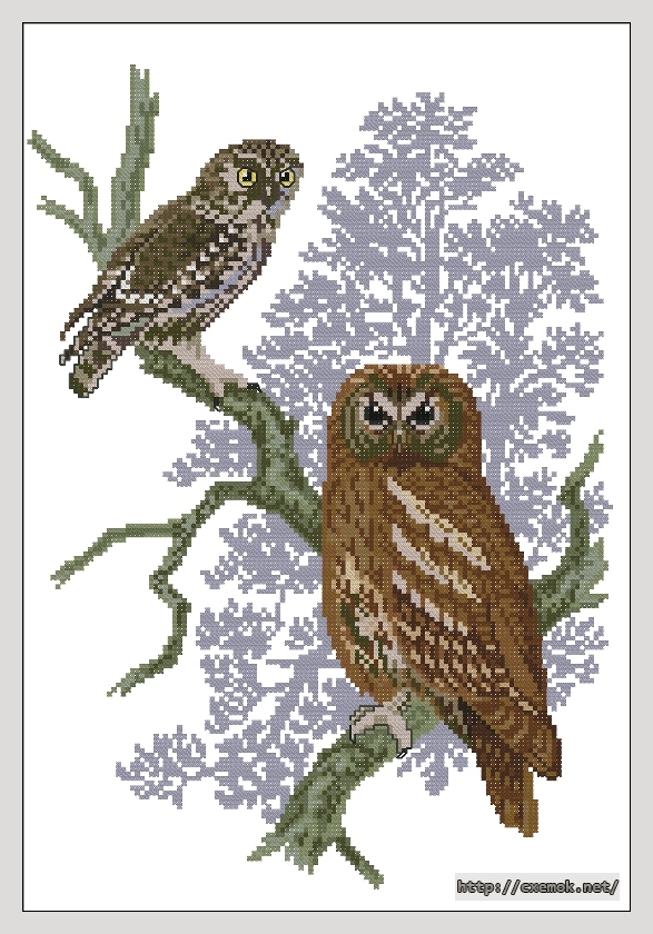 Download embroidery patterns by cross-stitch  - Совы, author 