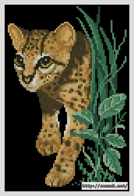 Download embroidery patterns by cross-stitch  - Margay, author 