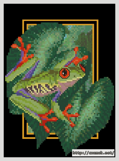 Завантажити схеми вишивки нитками / хрестом  - Rainforest-frog, автор 
