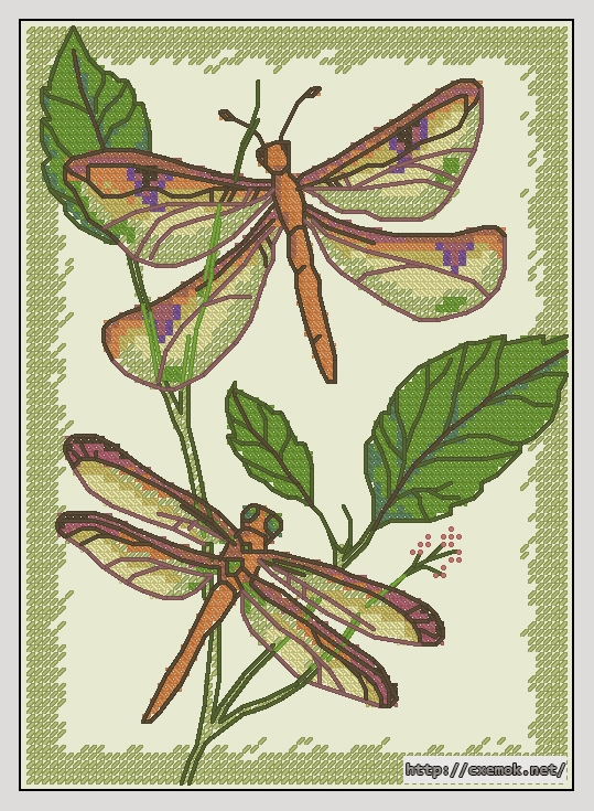 Download embroidery patterns by cross-stitch  - Dragonfly duo, author 