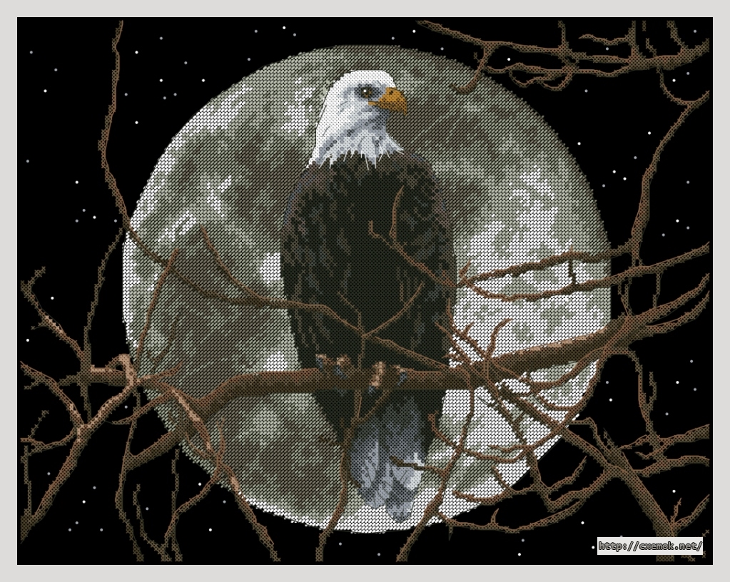 Скачать схемы вышивки нитками / крестом  - Eagle in moonlight, автор 