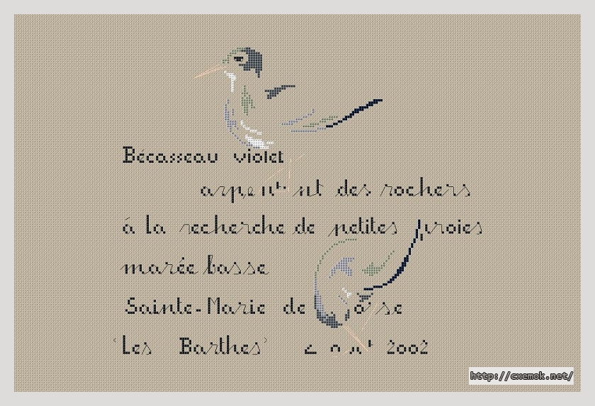 Download embroidery patterns by cross-stitch  - Becasseau violet, author 
