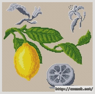 Скачать схему вышивки нитками Fleur de citronnier, автор 