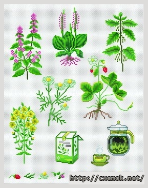 Download embroidery patterns by cross-stitch  - Herbier, author 