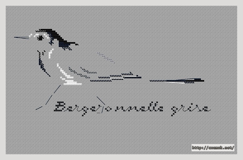 Download embroidery patterns by cross-stitch  - Bergeronnette grise, author 