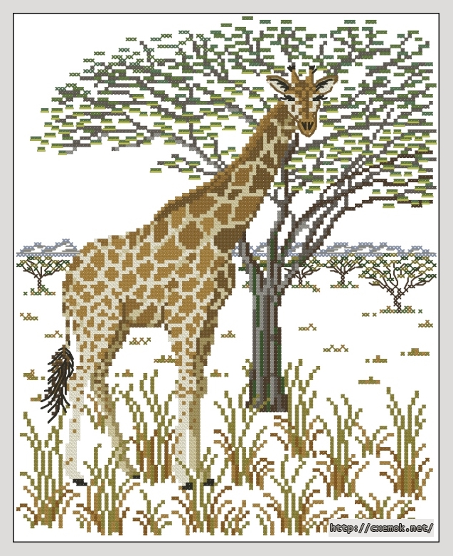 Скачать схему вышивки savanna giraffe