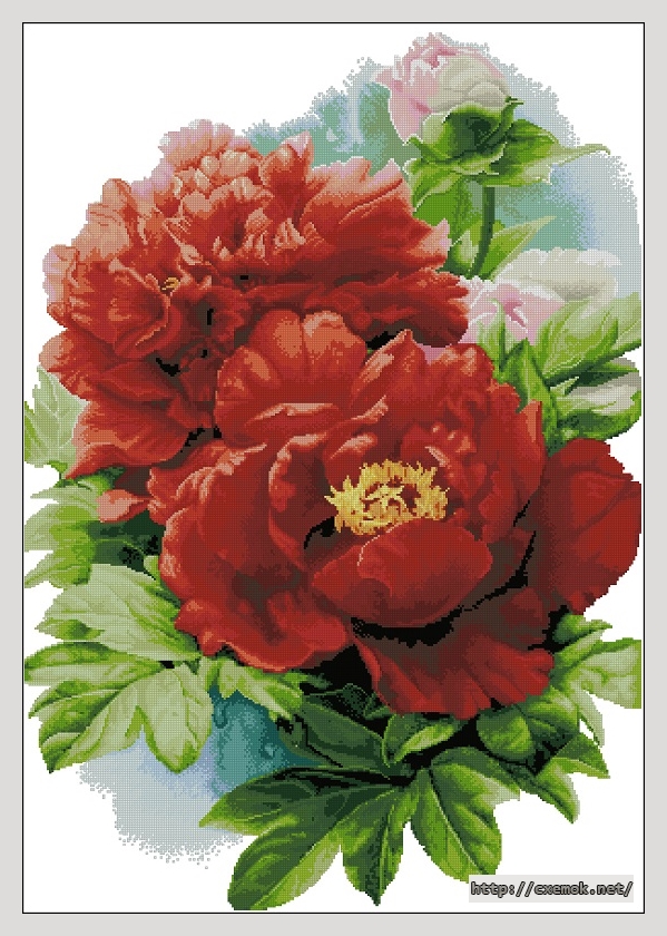 Download embroidery patterns by cross-stitch  - Red peonies, author 