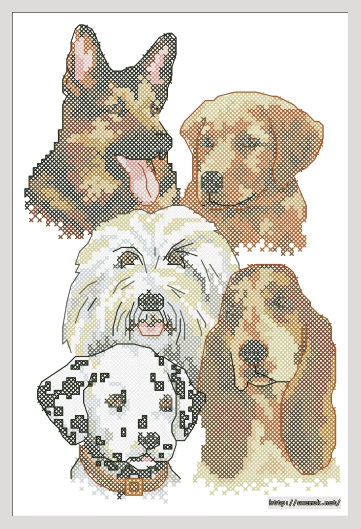 Download embroidery patterns by cross-stitch  - Canine charm, author 