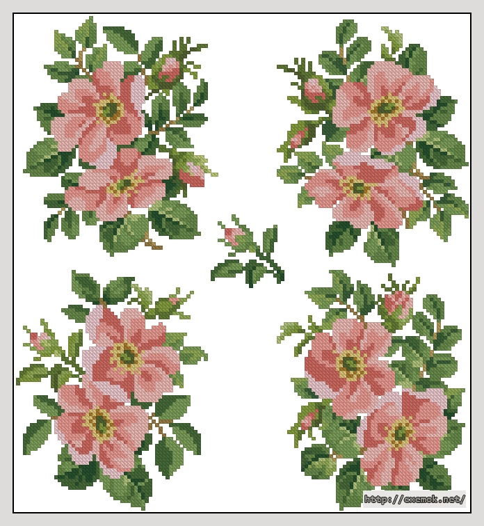 Download embroidery patterns by cross-stitch  - Wild roses, author 