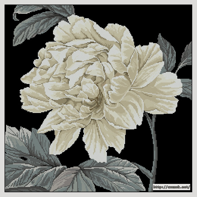 Download embroidery patterns by cross-stitch  - Full bloom, author 