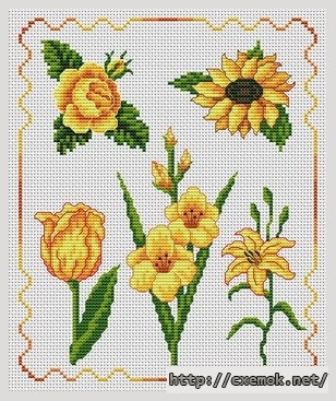 Download embroidery patterns by cross-stitch  - Fleurs jaunes, author 