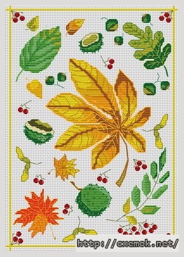 Download embroidery patterns by cross-stitch  - Feuilles de saison, author 