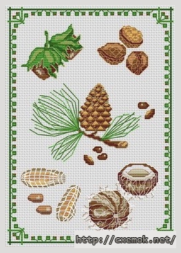 Download embroidery patterns by cross-stitch  - Fruits des arbres, author 