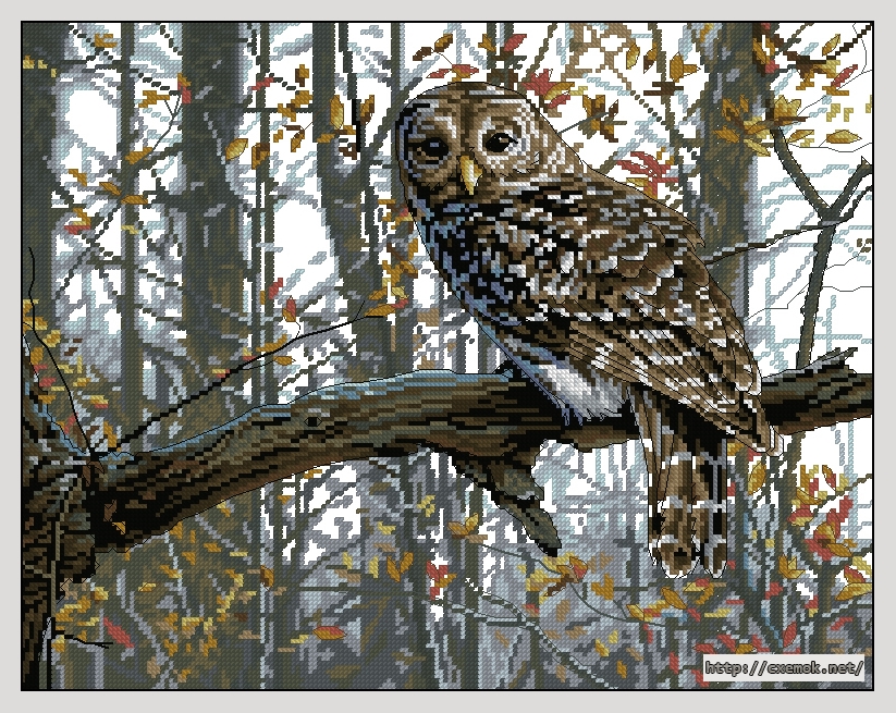 Download embroidery patterns by cross-stitch  - Wise owl, author 
