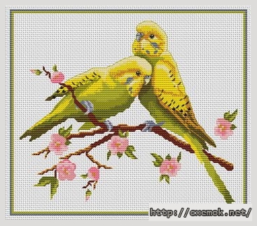 Download embroidery patterns by cross-stitch  - Perruches amoureuses, author 