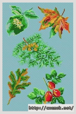Скачать схемы вышивки нитками / крестом  - Les feuilles d''automne, автор 