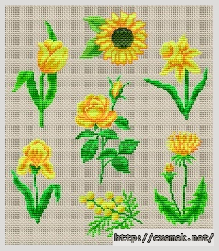 Download embroidery patterns by cross-stitch  - Les fleurs, author 