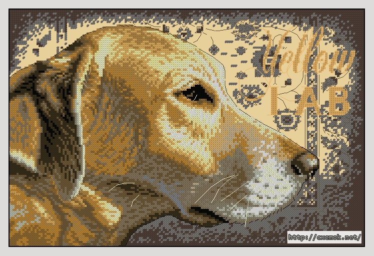 Download embroidery patterns by cross-stitch  - Yellow lab, author 