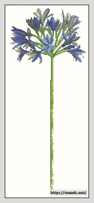 Download embroidery patterns by cross-stitch  - Agapanthus, author 