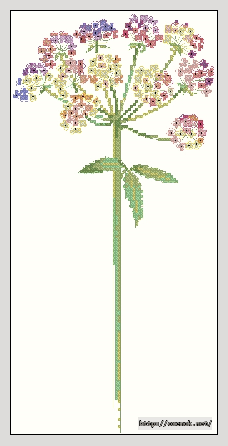 Download embroidery patterns by cross-stitch  - Umbellifererous - ombellifere, author 