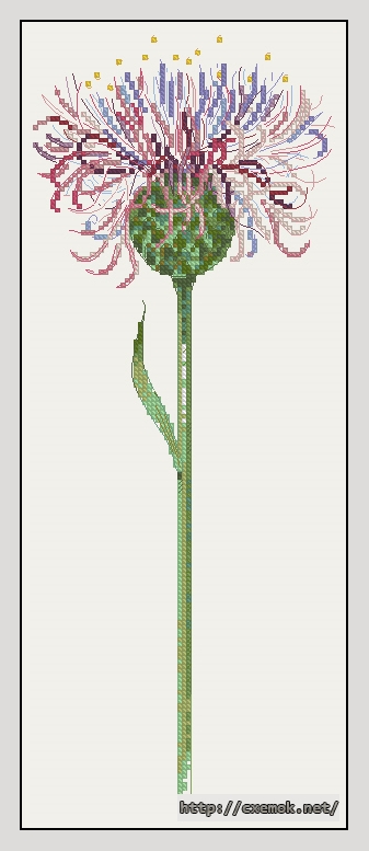 Download embroidery patterns by cross-stitch  - Centaurium, author 