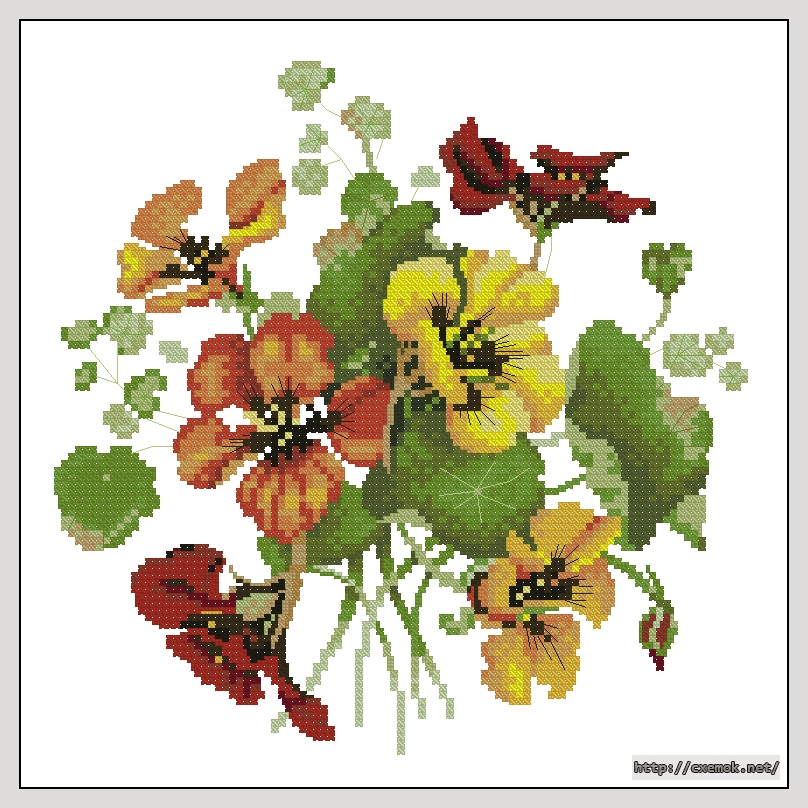 Download embroidery patterns by cross-stitch  - Nasturtium posy, author 